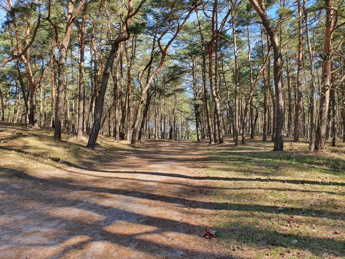 Apartamenty Wislany Przekop Danzica Esterno foto