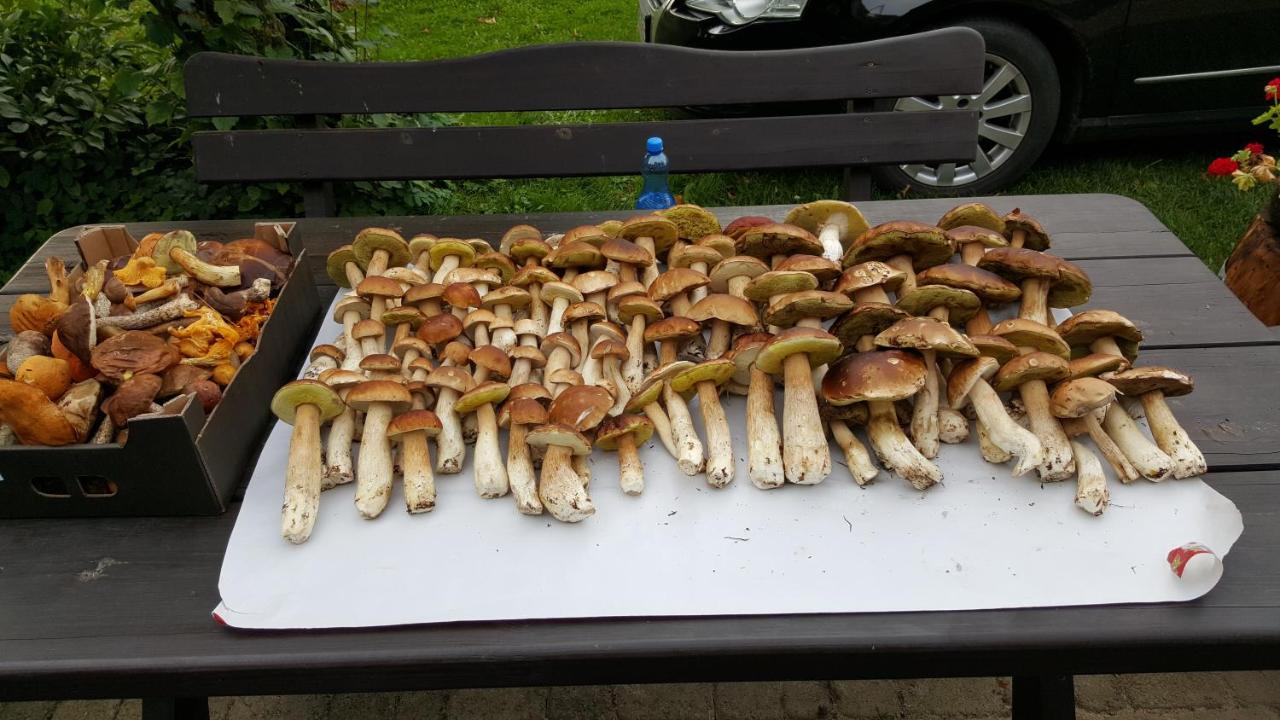 Apartamenty Wislany Przekop Danzica Esterno foto